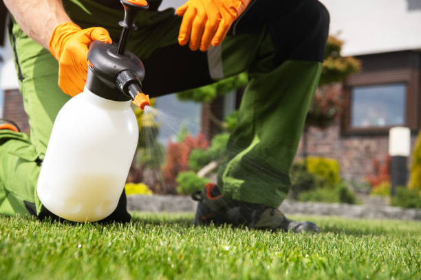 Best Termite Control Services  in Calvert, TX