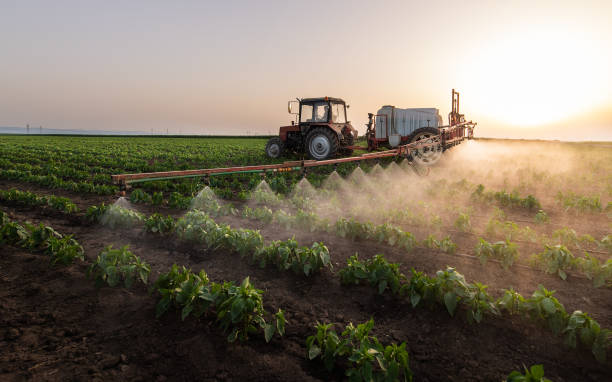 Professional Pest Control in Calvert, TX
