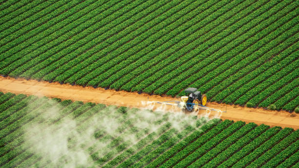 Best Commercial Pest Control Services  in Calvert, TX