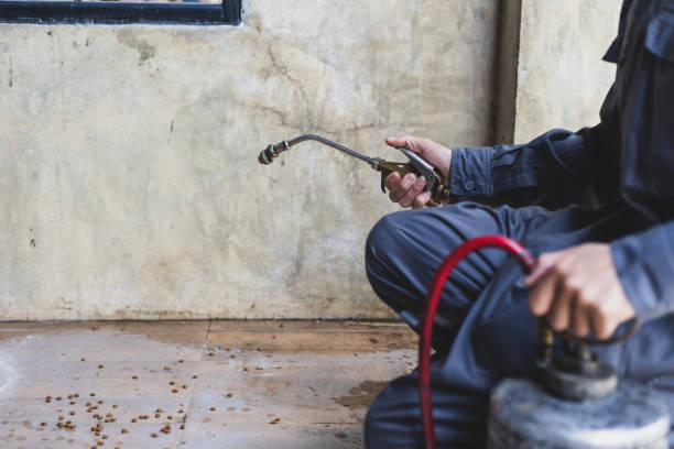 Best Pest Inspection Near Me  in Calvert, TX